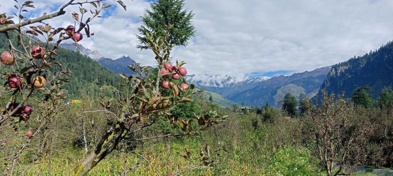 Apple Flower With Balcony And Mountain View Manāli エクステリア 写真