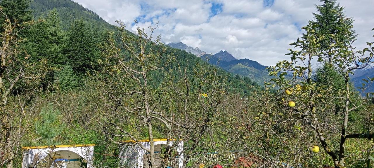 Apple Flower With Balcony And Mountain View Manāli エクステリア 写真